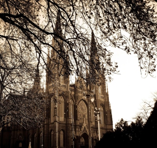 Buenos Aires Plata Cathedral - Obrázkek zdarma pro 208x208