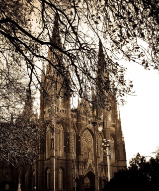 Buenos Aires Plata Cathedral - Obrázkek zdarma pro 480x640