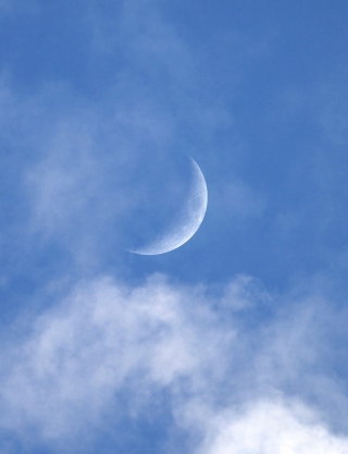 Moon - Obrázkek zdarma pro 176x220