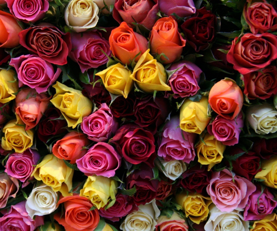 Screenshot №1 pro téma Colorful Roses 960x800