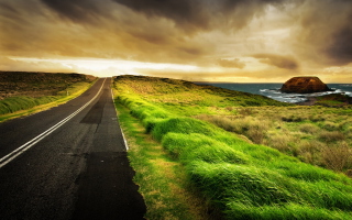 Road Side Grass Background for Android, iPhone and iPad