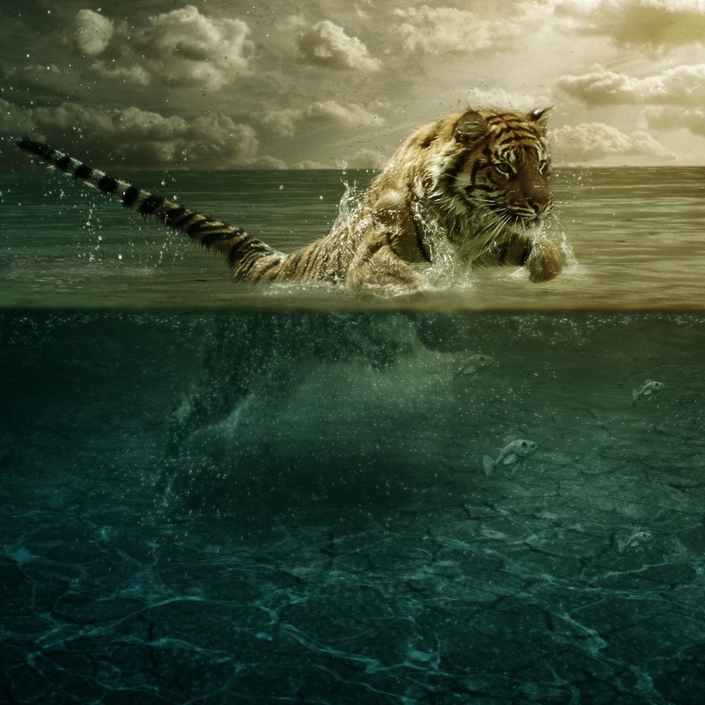 Tiger Jumping In Water wallpaper 1024x1024