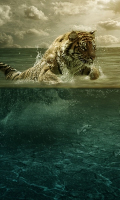 Das Tiger Jumping In Water Wallpaper 240x400