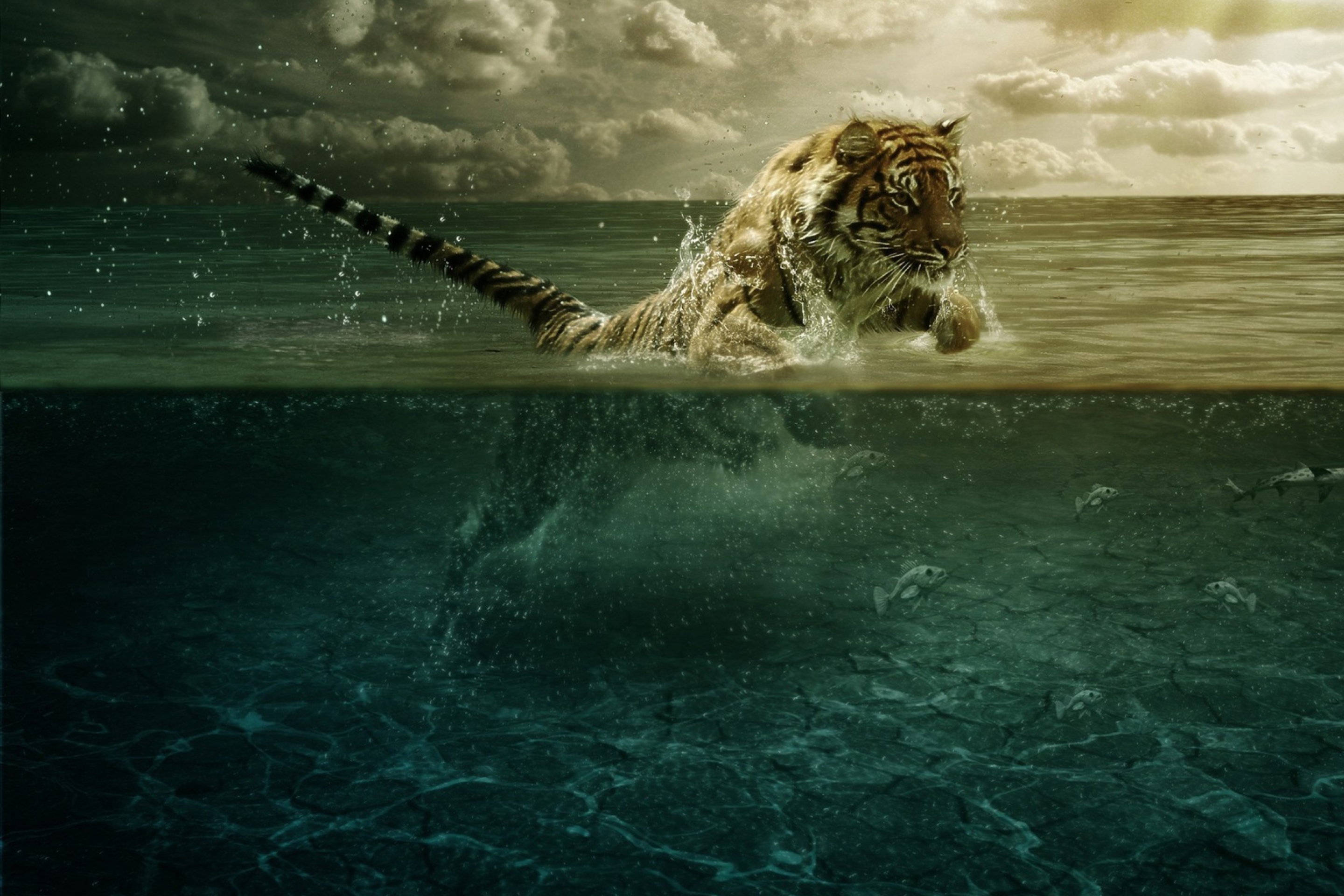 Screenshot №1 pro téma Tiger Jumping In Water 2880x1920
