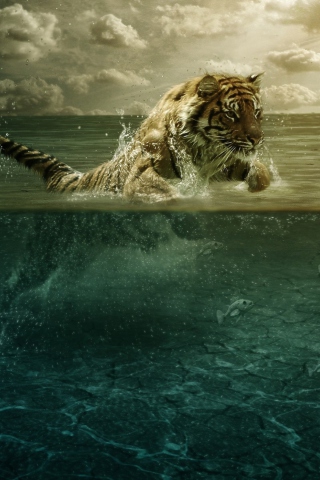 Fondo de pantalla Tiger Jumping In Water 320x480