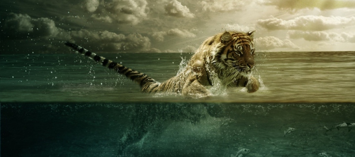 Screenshot №1 pro téma Tiger Jumping In Water 720x320