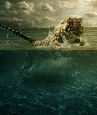 Tiger Jumping In Water papel de parede para celular para 132x176