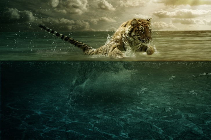 Screenshot №1 pro téma Tiger Jumping In Water