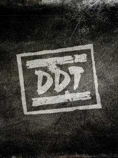 Das Russian Music Band DDT Wallpaper 240x320