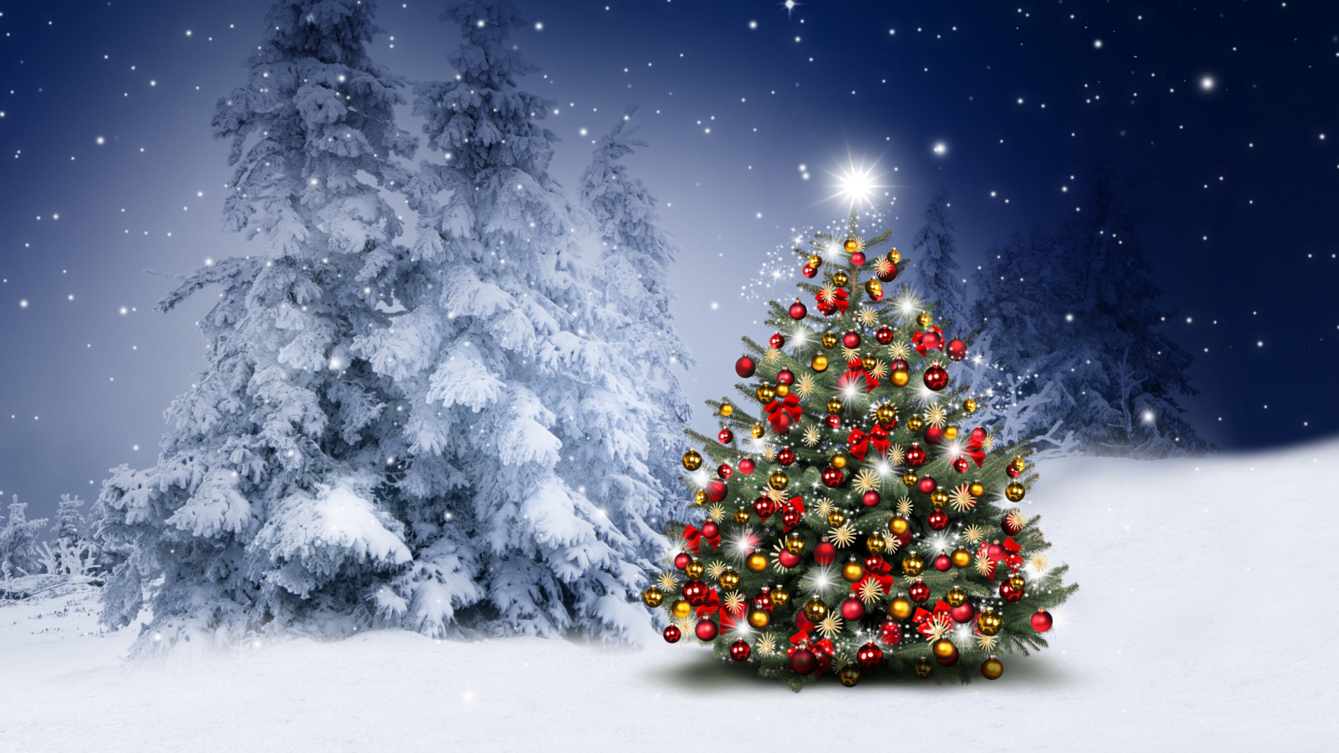 Fondo de pantalla Winter Christmas tree 1920x1080