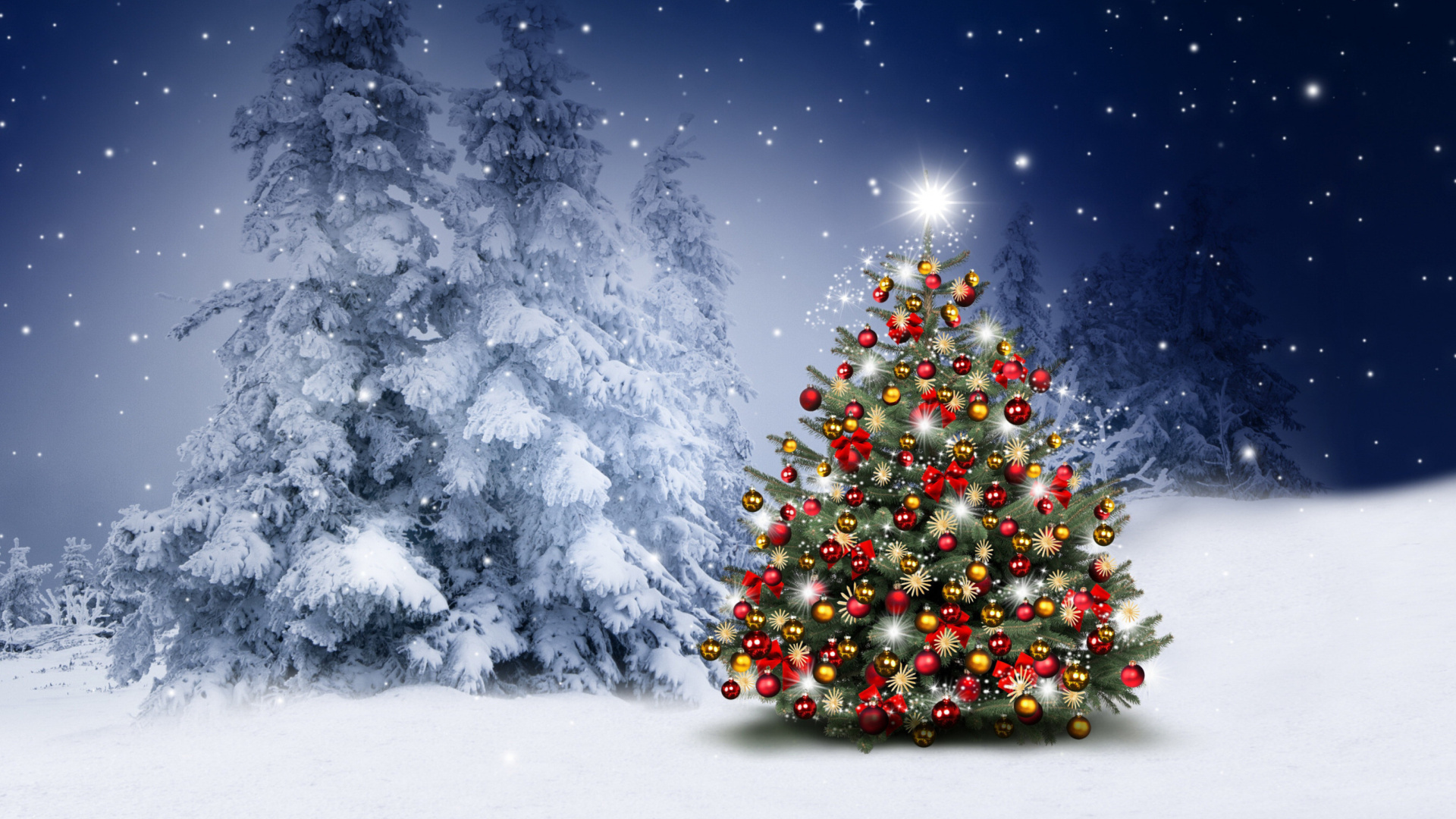 Winter Christmas tree wallpaper 1920x1080