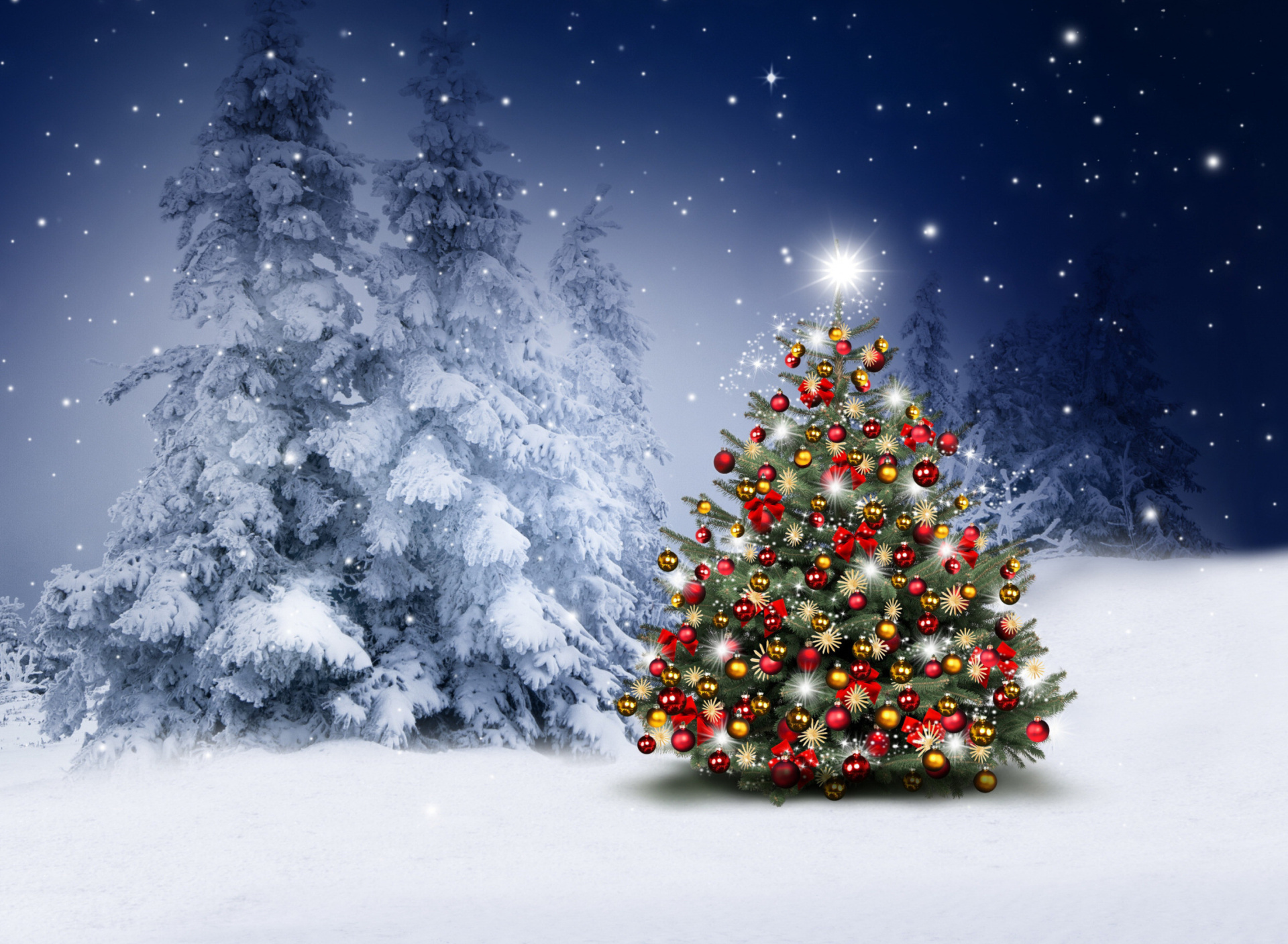 Обои Winter Christmas tree 1920x1408