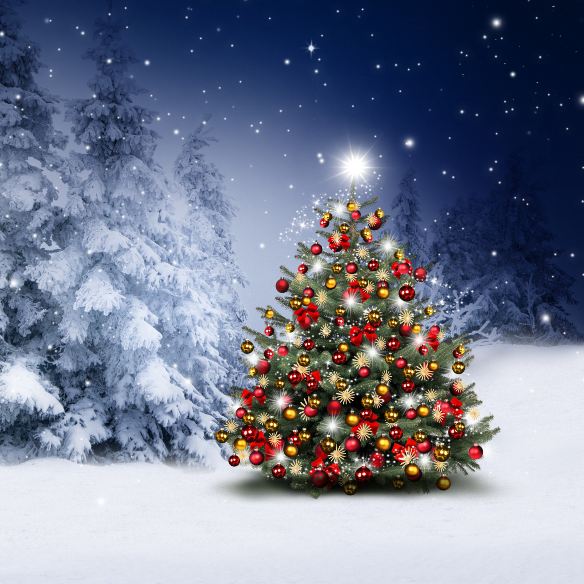 Winter Christmas tree wallpaper 2048x2048