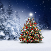 Fondo de pantalla Winter Christmas tree 208x208