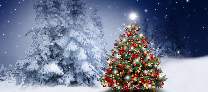 Fondo de pantalla Winter Christmas tree 720x320