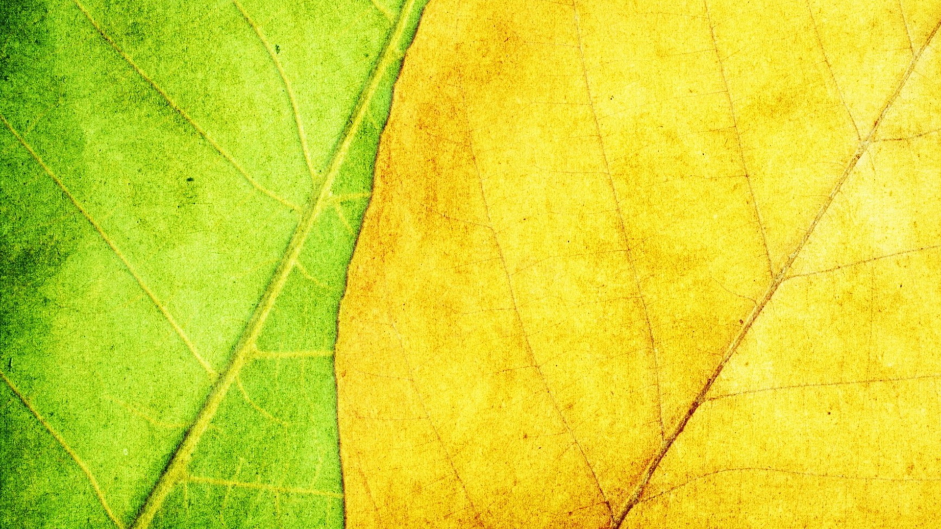 Screenshot №1 pro téma Yellow And Green 1920x1080