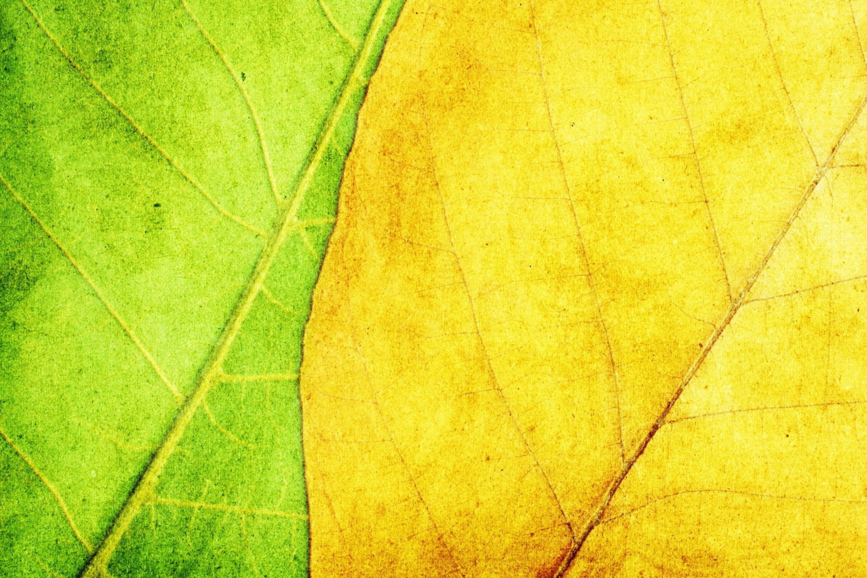 Sfondi Yellow And Green 2880x1920