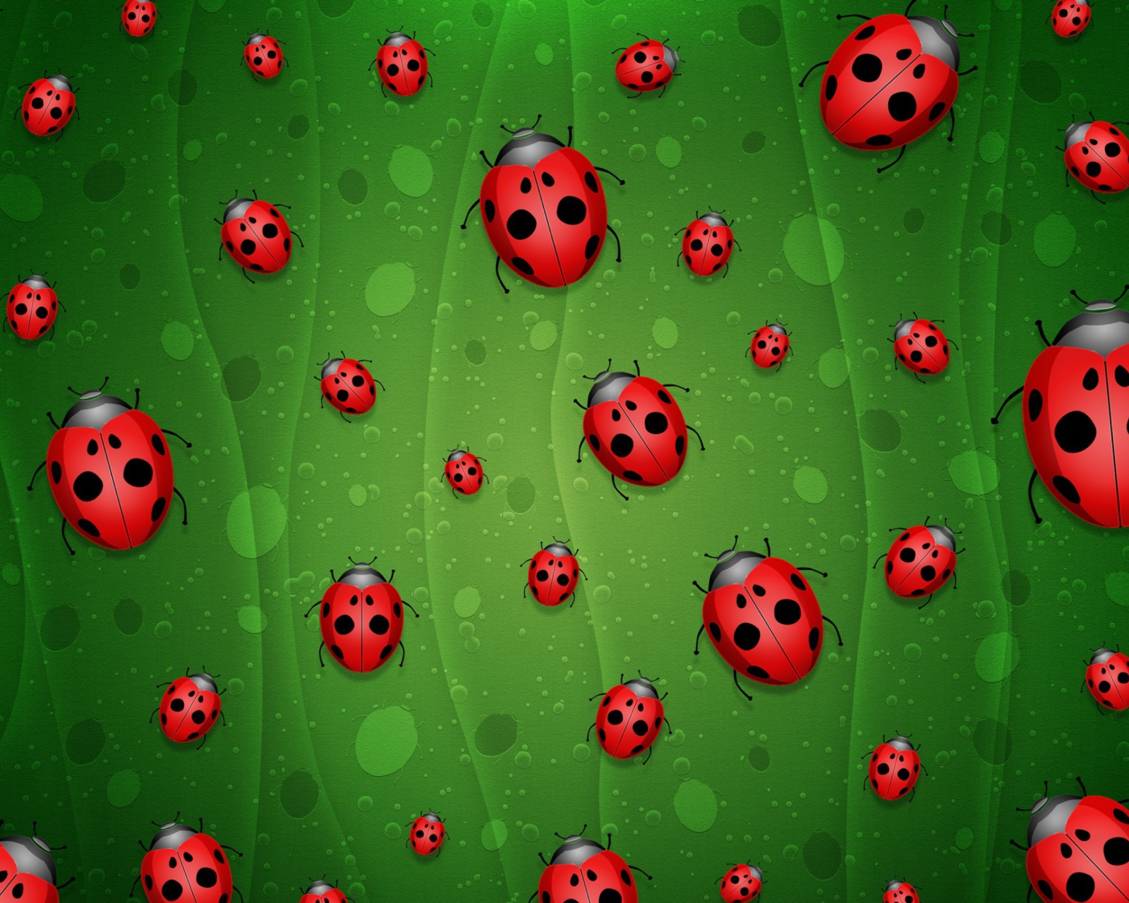 Обои Ladybugs Art 1600x1280