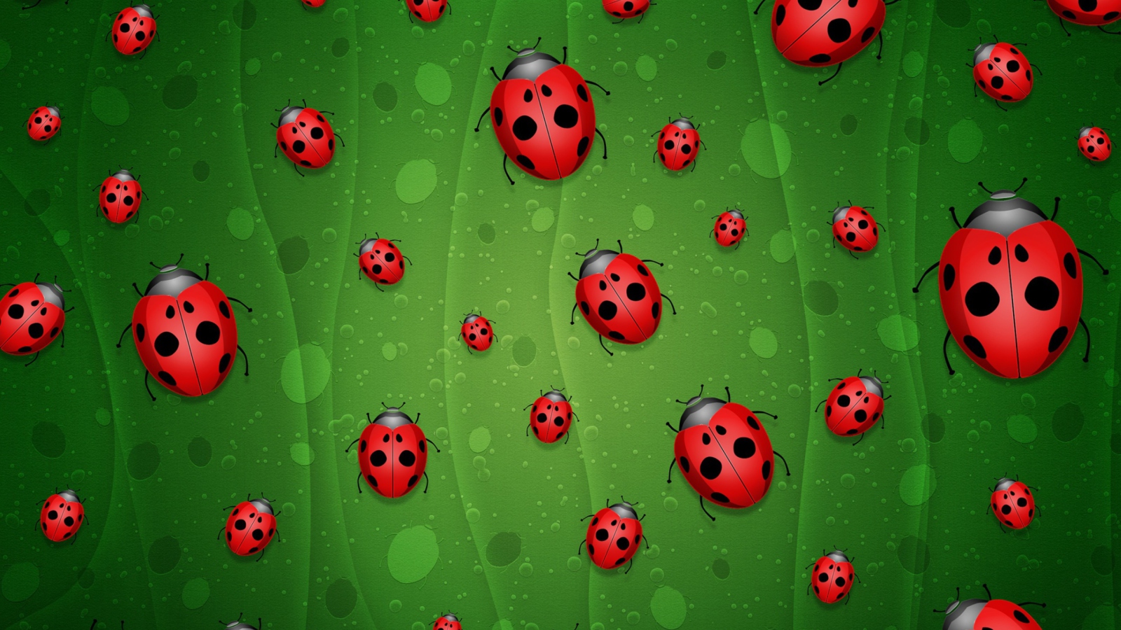 Sfondi Ladybugs Art 1600x900