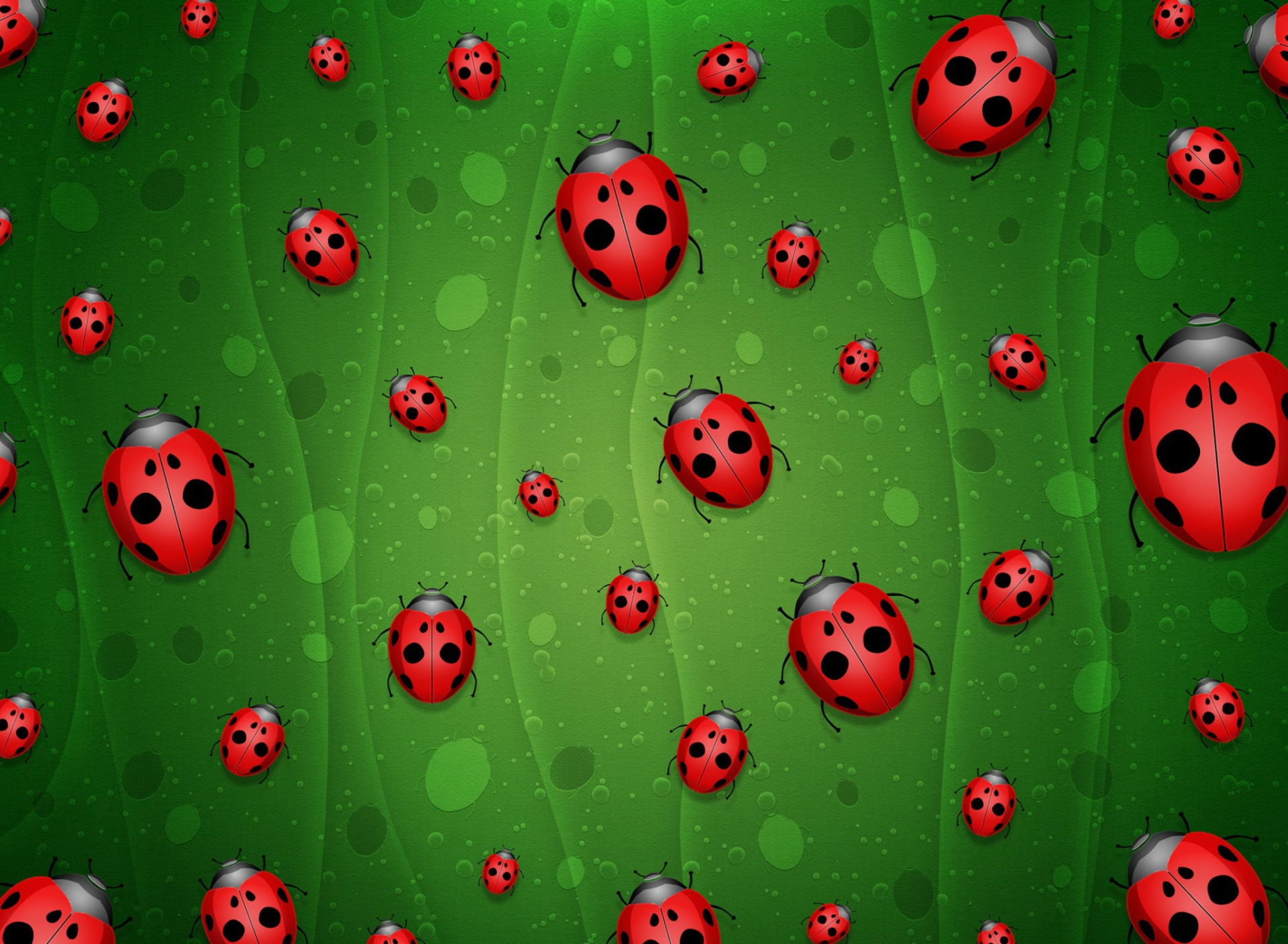 Screenshot №1 pro téma Ladybugs Art 1920x1408