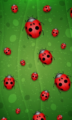 Fondo de pantalla Ladybugs Art 240x400