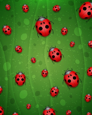 Ladybugs Art - Obrázkek zdarma pro 128x160