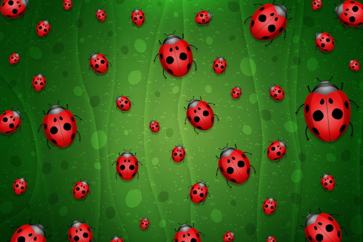 Screenshot №1 pro téma Ladybugs Art
