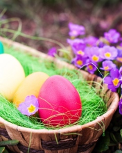 Обои Colorful Easter Eggs 176x220