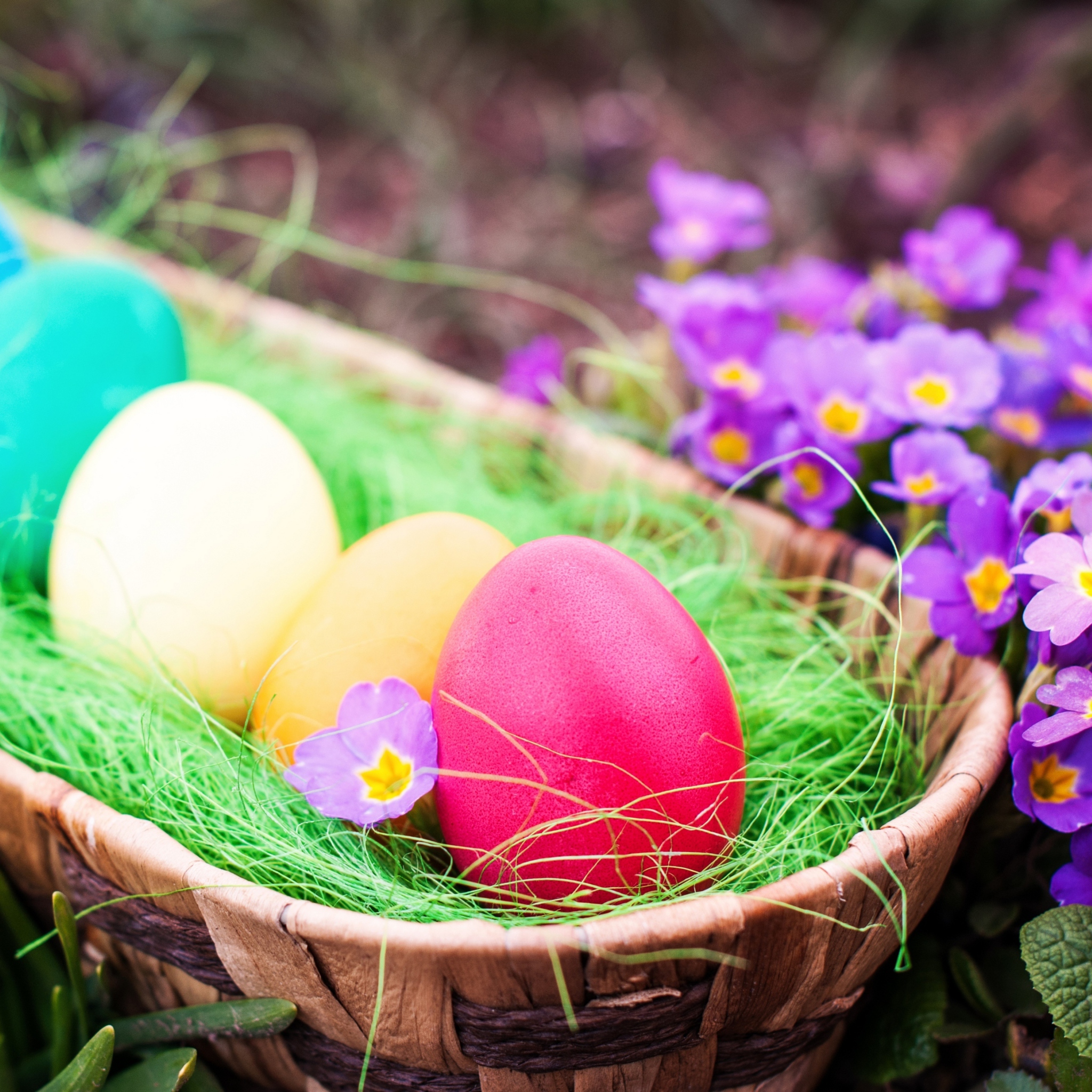 Das Colorful Easter Eggs Wallpaper 2048x2048