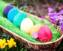 Colorful Easter Eggs wallpaper 220x176