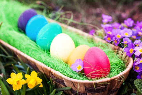 Das Colorful Easter Eggs Wallpaper 480x320