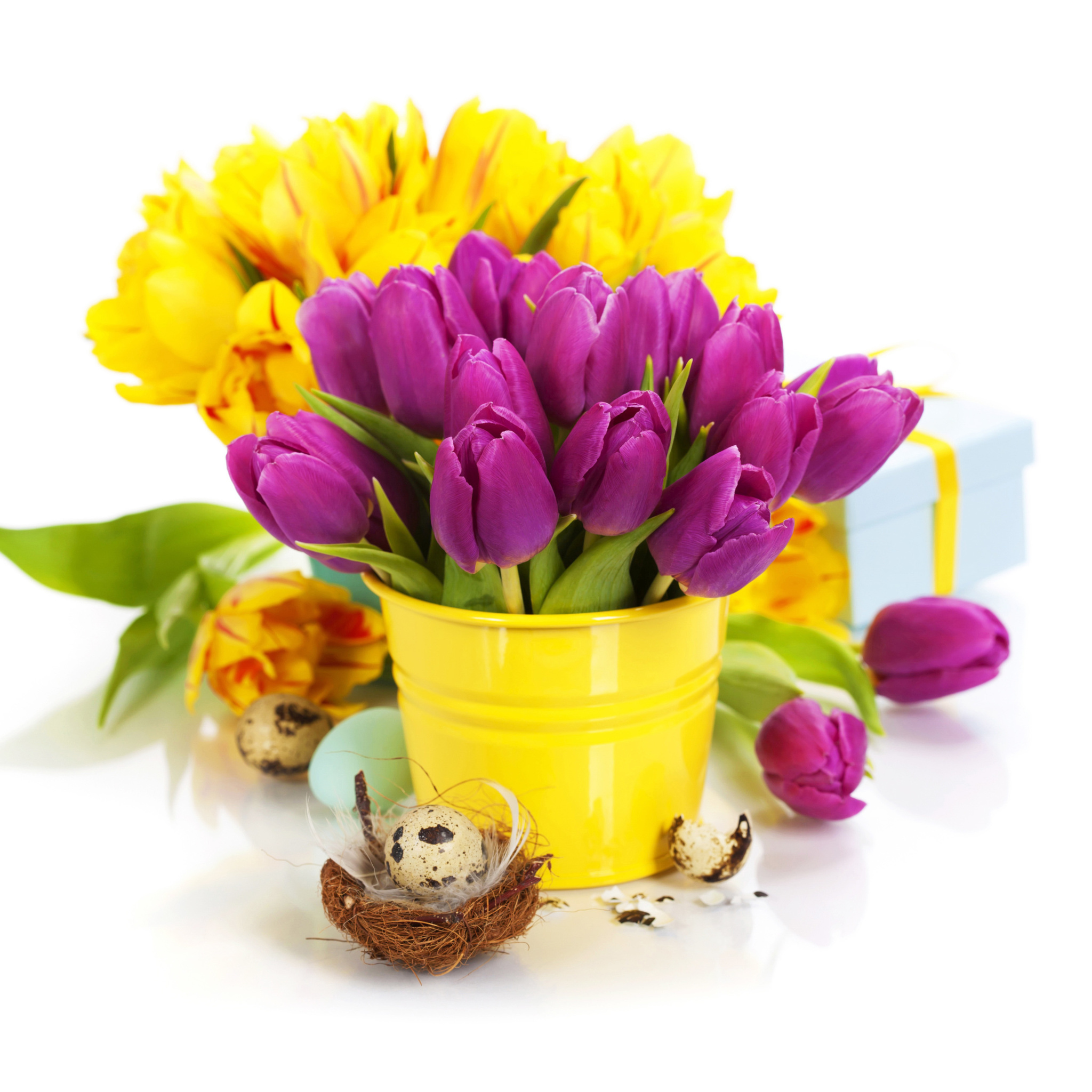 Fondo de pantalla Spring Easter Flowers 2048x2048