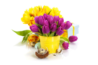 Spring Easter Flowers Background for Android, iPhone and iPad