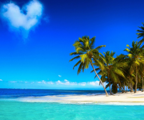 Sfondi Tropical Vacation on Perhentian Islands 480x400
