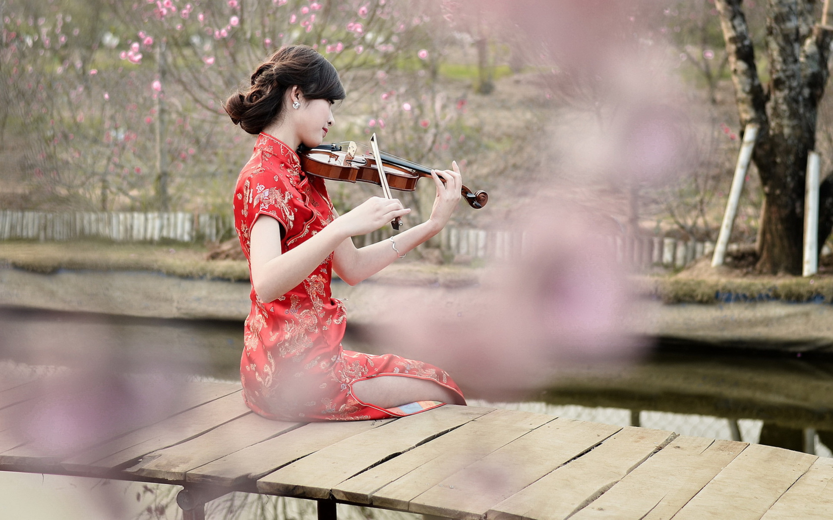 Screenshot №1 pro téma Pretty Asian Girl Violinist 1680x1050