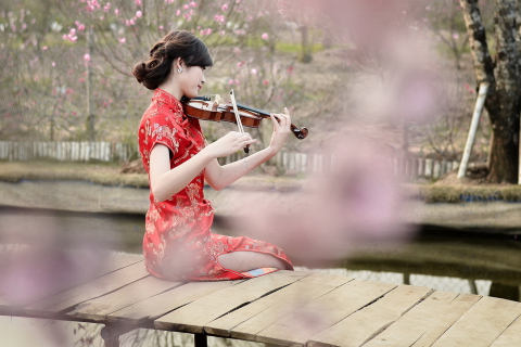 Sfondi Pretty Asian Girl Violinist 480x320