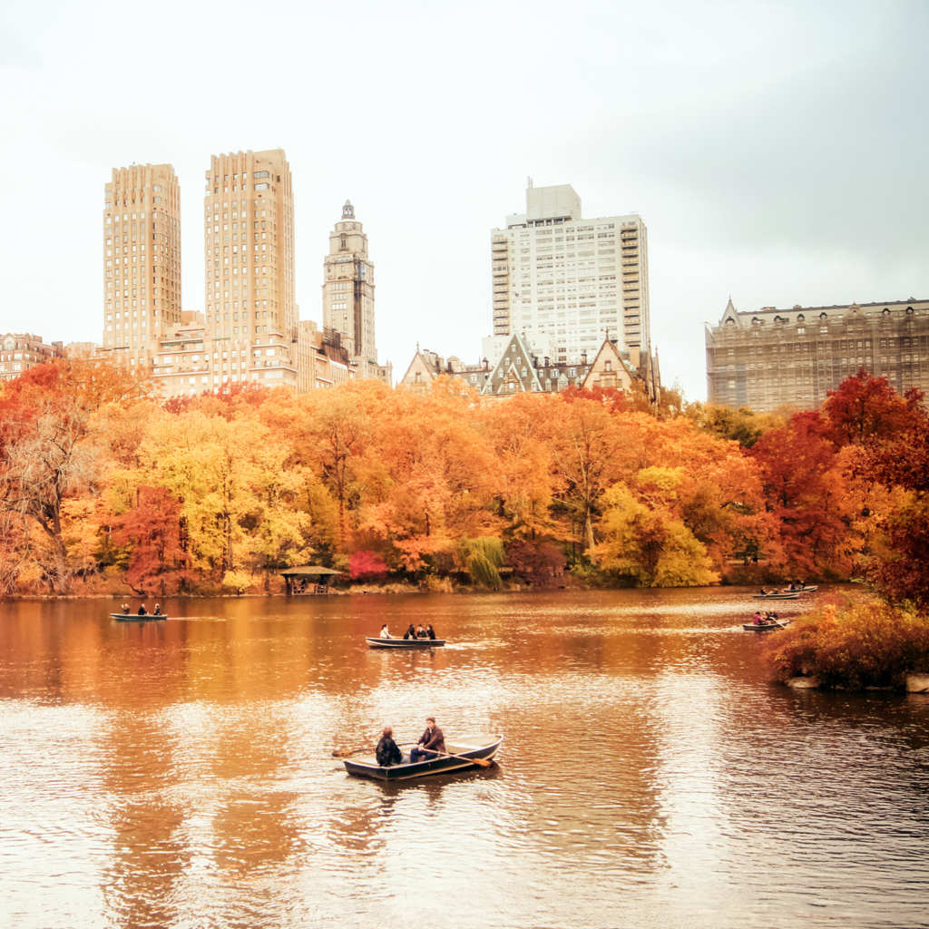 Screenshot №1 pro téma Autumn In New York Central Park 1024x1024