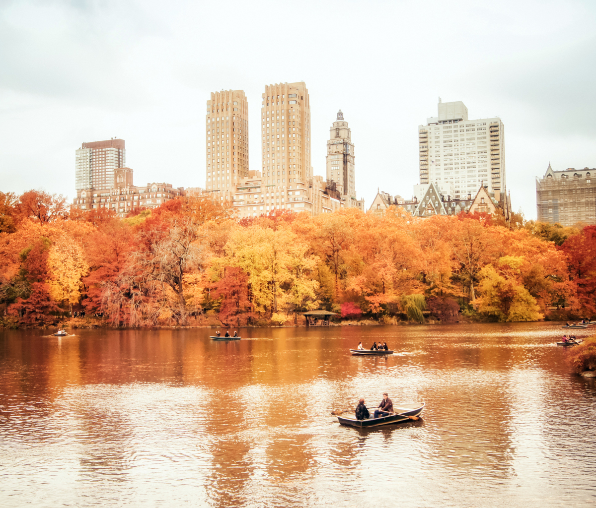 Screenshot №1 pro téma Autumn In New York Central Park 1200x1024