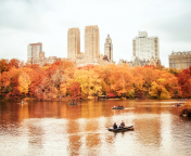 Screenshot №1 pro téma Autumn In New York Central Park 176x144