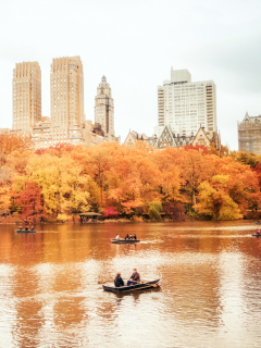 Screenshot №1 pro téma Autumn In New York Central Park 240x320