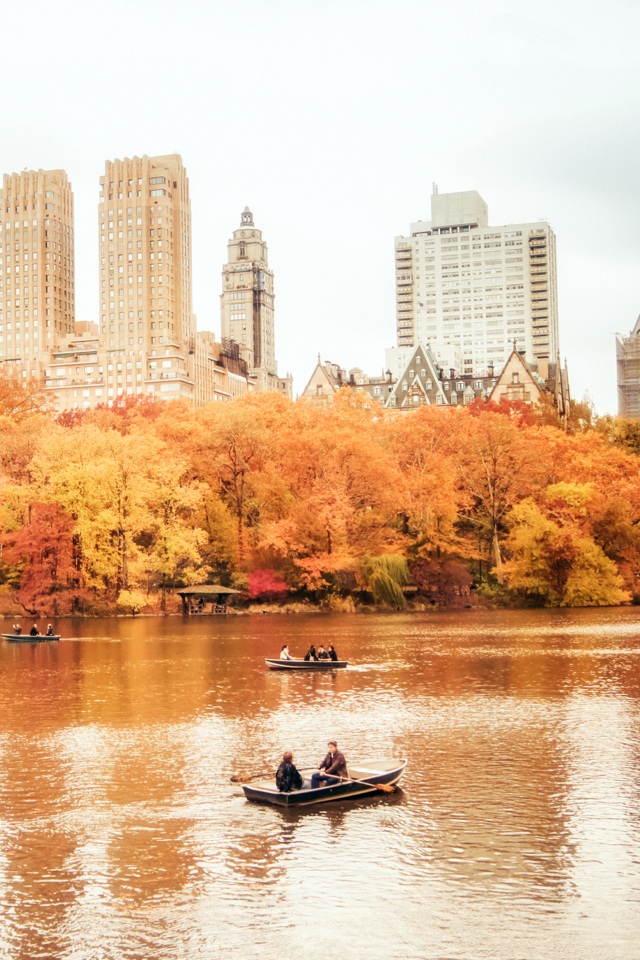 Sfondi Autumn In New York Central Park 640x960