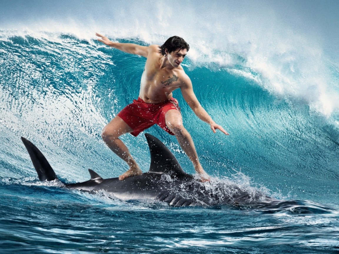 Shark Surfing wallpaper 1152x864