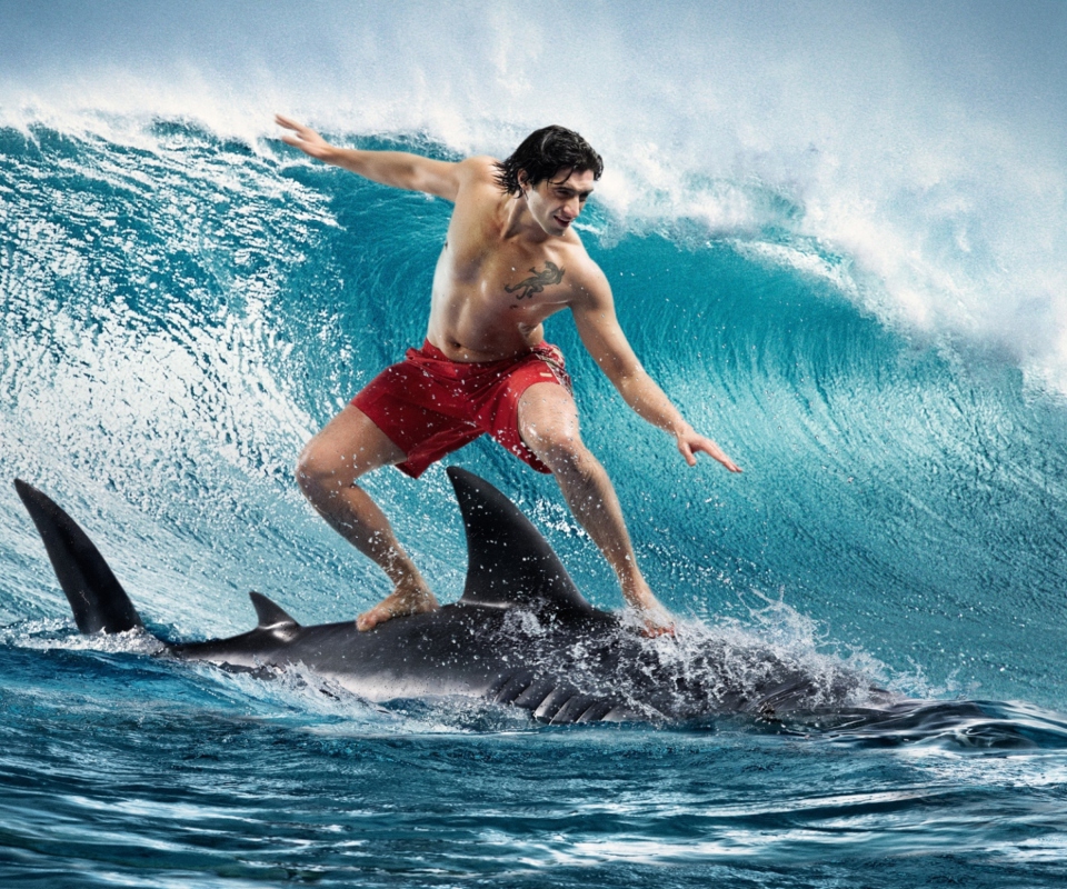 Fondo de pantalla Shark Surfing 960x800