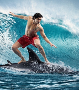 Shark Surfing - Obrázkek zdarma pro Nokia C2-02