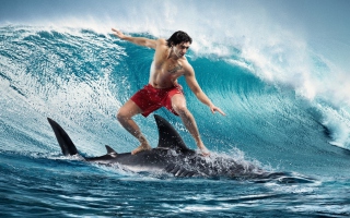 Shark Surfing Picture for Android, iPhone and iPad