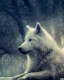 White Wolf Painting wallpaper 128x160