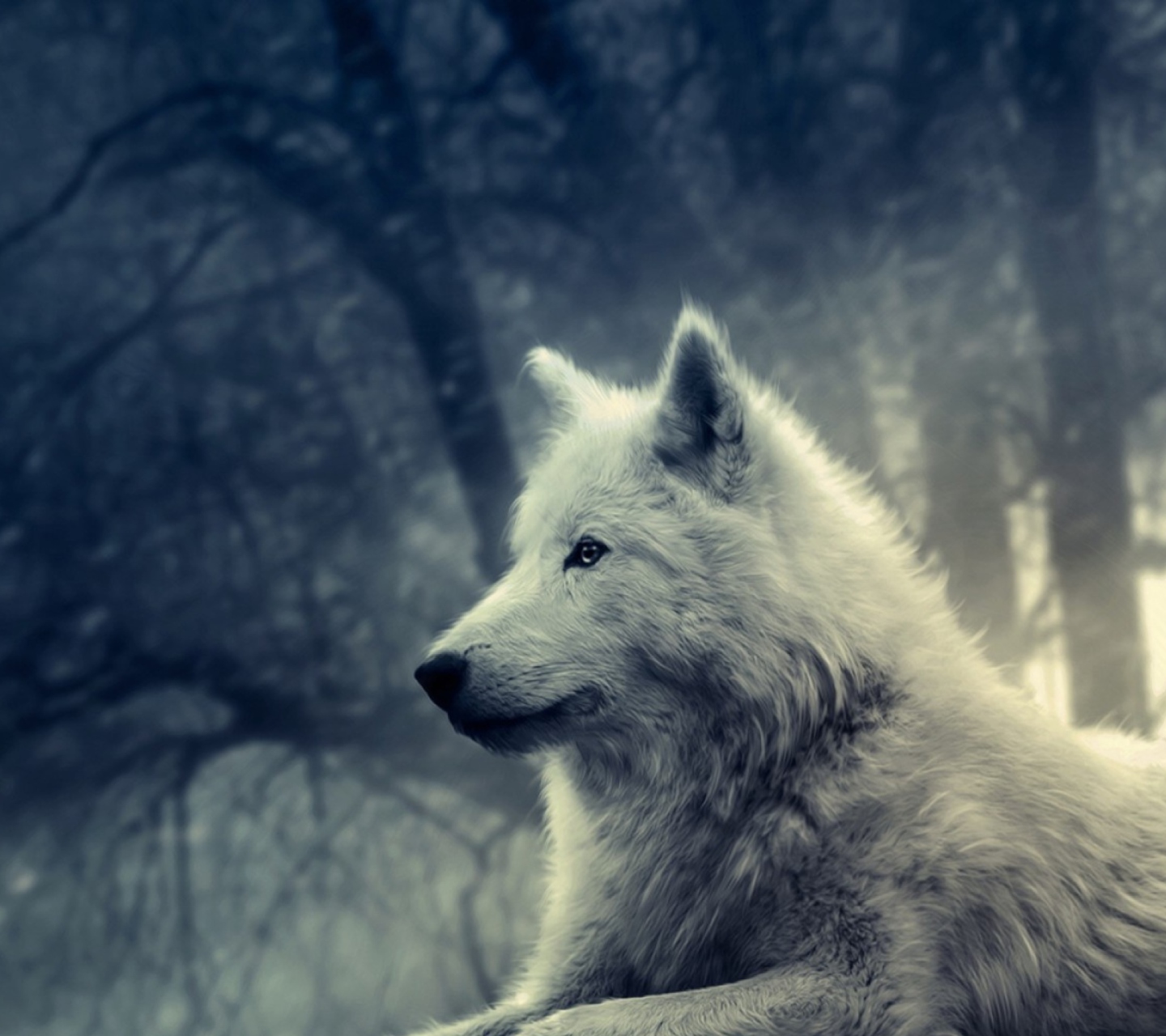 White Wolf Painting wallpaper 1440x1280