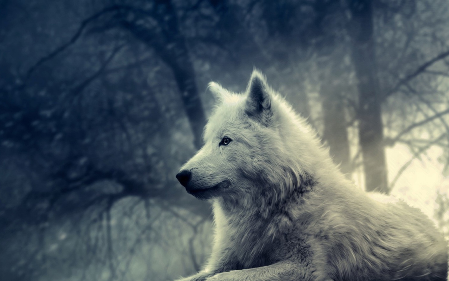 Sfondi White Wolf Painting 1440x900