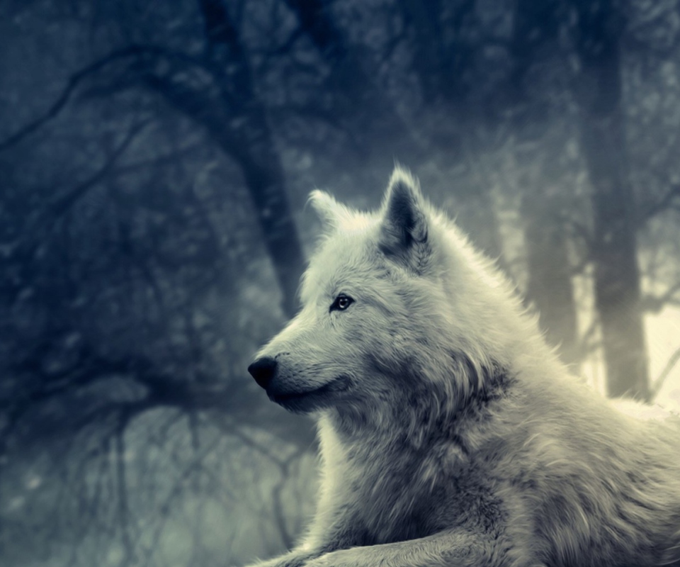 Screenshot №1 pro téma White Wolf Painting 960x800