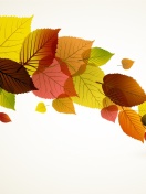 Обои Drawn autumn leaves 132x176